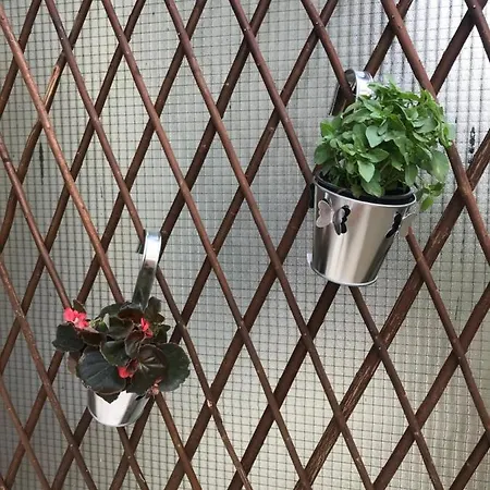 Pantheon Apartment